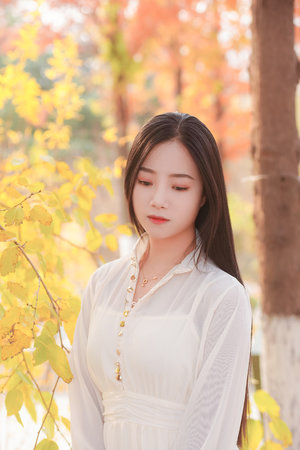 无人区在线观看免费观看电视剧电影